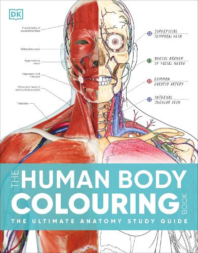 Human Body Colouring Book, The: The Ultimate Anatomy Study Guide